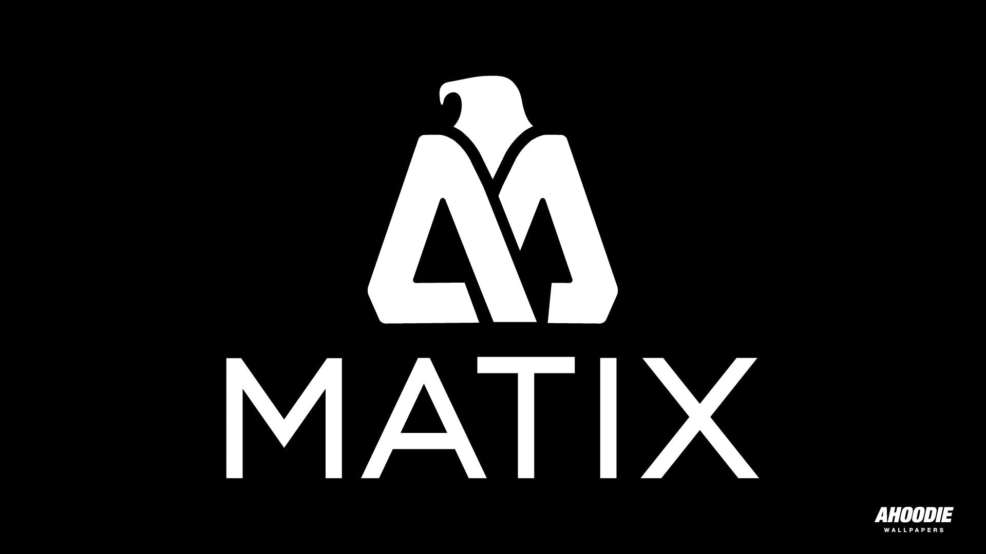 Matix party (2013)